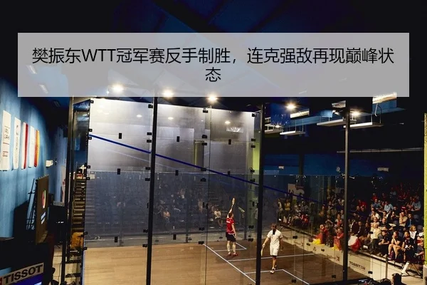 樊振东WTT冠军赛反手制胜，连克强敌再现巅峰状态